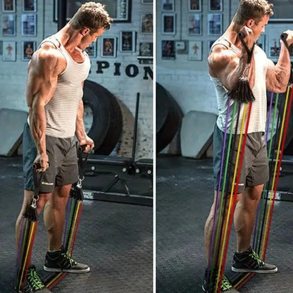 Resistance Bands Set, Resistance With Door Anchor.