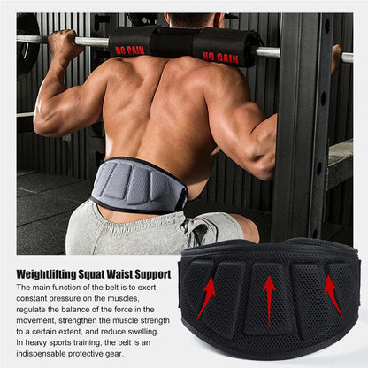 Weight Lifting Belts for Men and Women .